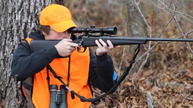 Arkansas’s modern gun deer hunting season Opened Nov. 8