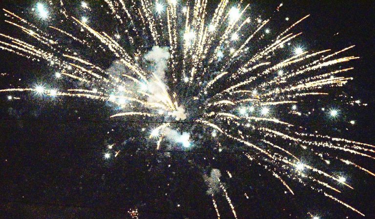 A New Year’s Reflection on a Very Good Year at RNN…Thanks to You!