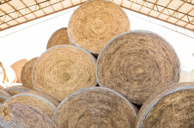US hay stocks fall to lowest level since ’74; Arkansas hay production down in 2022