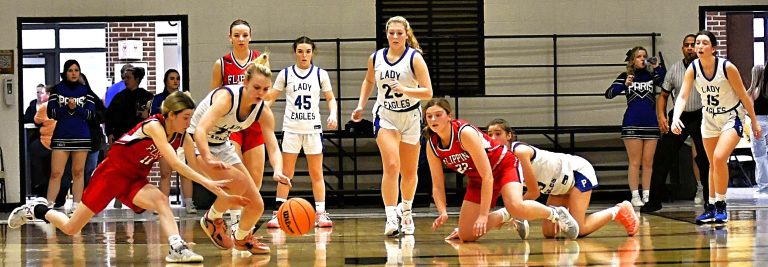 Paris Falls to Flippin in Girls Class 3A Region 1 Tournament on Thursday