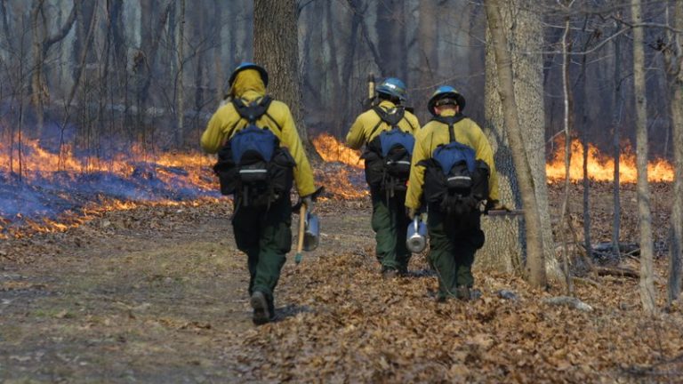 Associations Burn Through Burden of Habitat Management