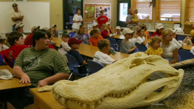 Wildlife fines provide $645,493 to support conservation education in schools