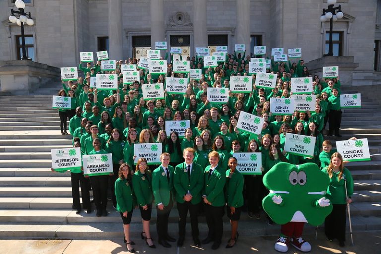 Arkansas 4-H members visit Capitol to see government in action￼