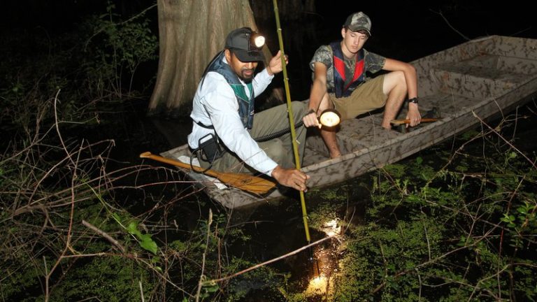 Wet spring, warm outlook set stage for frog hunting 