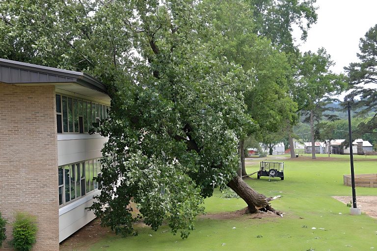 Overnight Storm Causes Damage in Logan and Franklin Counties
