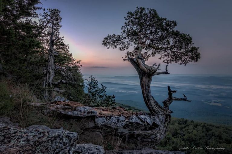 Timepiece: the Hermit Poet of Magazine Mt.