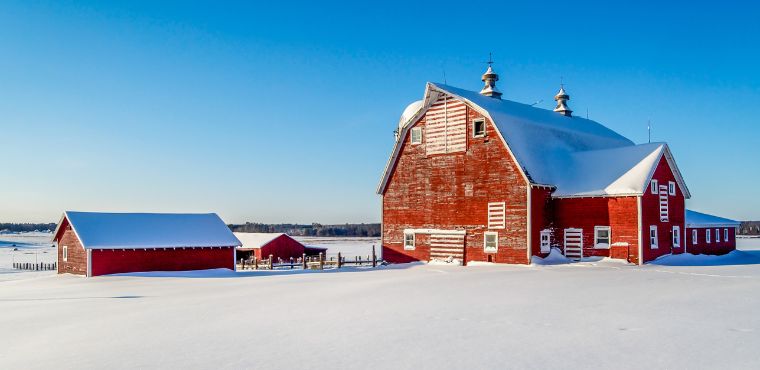 Tips for Preparing Your Farm Business for Winter