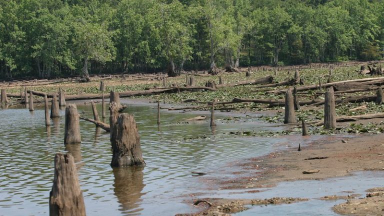 Low water brings boating hazards near the surface
