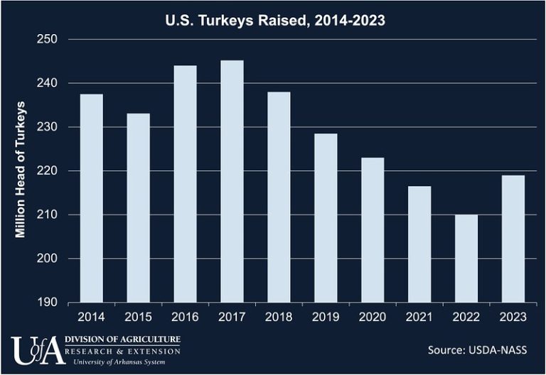 Resilient turkey industry rebounds from HPAI, adapts to evolving market
