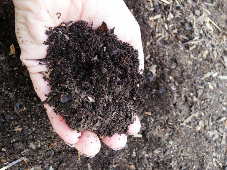 Is compost always feasible? A look at the benefits and risks