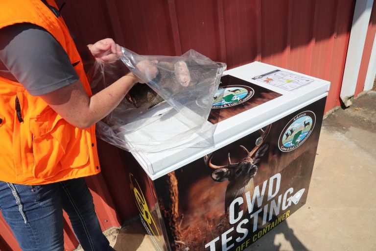 AGFC wildlife veterinarian, National Deer Association offer five reasons to test your deer for CWD