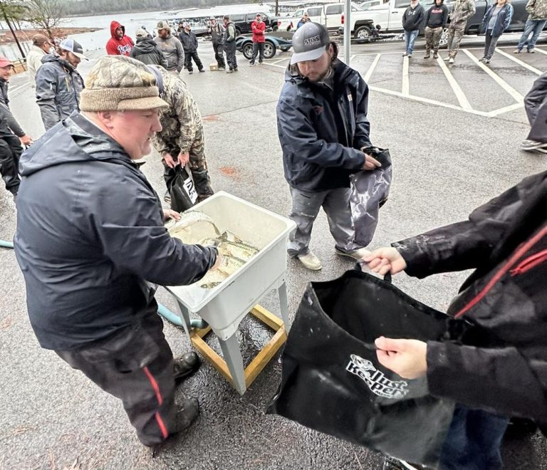 Arkansas bass tournaments tally solid statistics in 2023