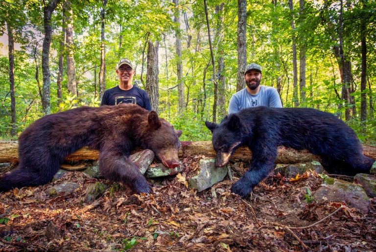 Bear hunters eclipse harvest record