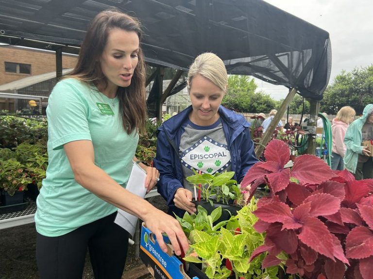 Master Gardener plant sales offer choice picks for home gardeners