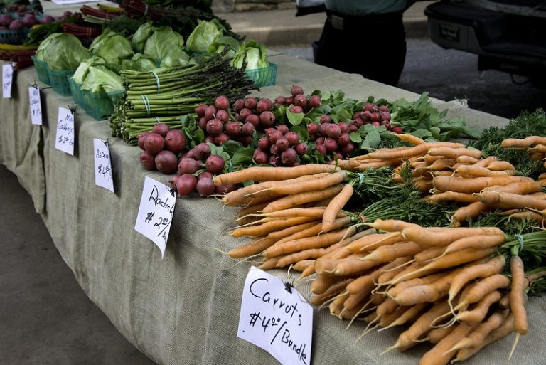 Farmers markets play vital role in boosting state’s economy, access to food