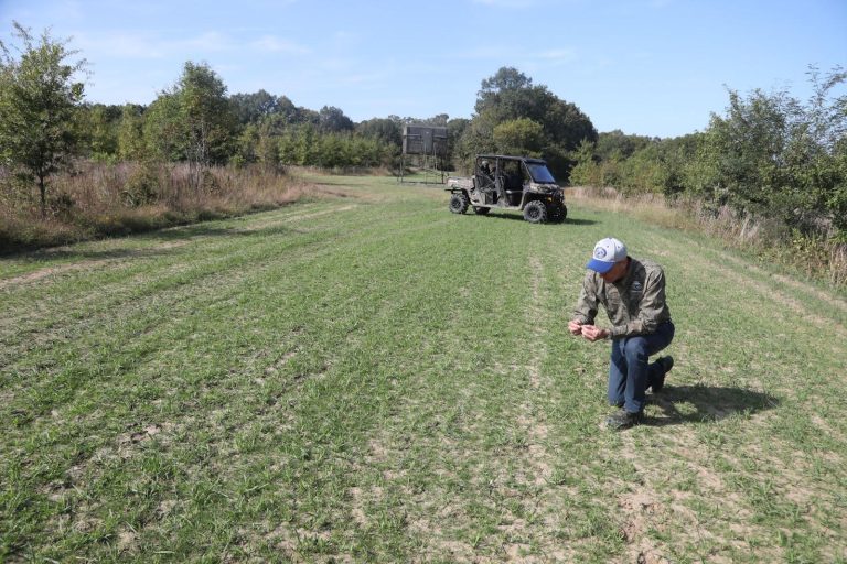 Plan your plots for fall success 