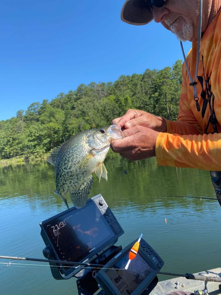 Brush up on summer crappie fun