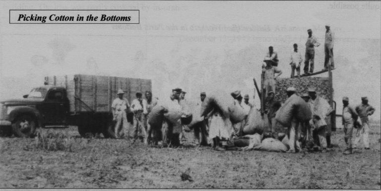 Timepiece: Cotton Picking Time