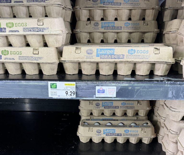 Economists tackle estimating consumer effects following the loss of billions of birds and eggs lost to avian influenza