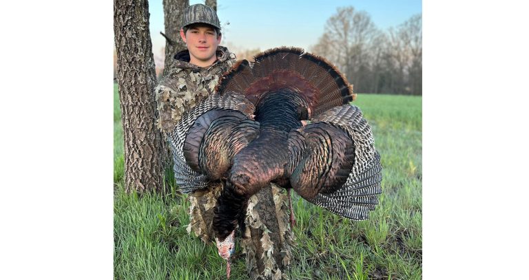 Arkansas hunters post nine-year high in turkey harvest