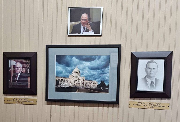 Carrying the Torch: Senator Terry Rice Marks Nearly Two Decades of Public Service