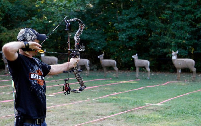 Apply and qualify for an Arkansas urban archery deer hunt