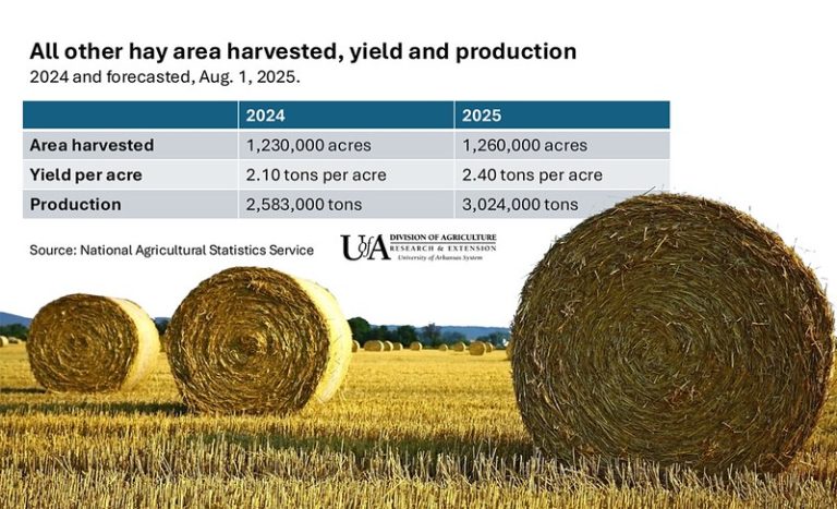 Spring bumper hay crop followed by dry fall in Arkansas