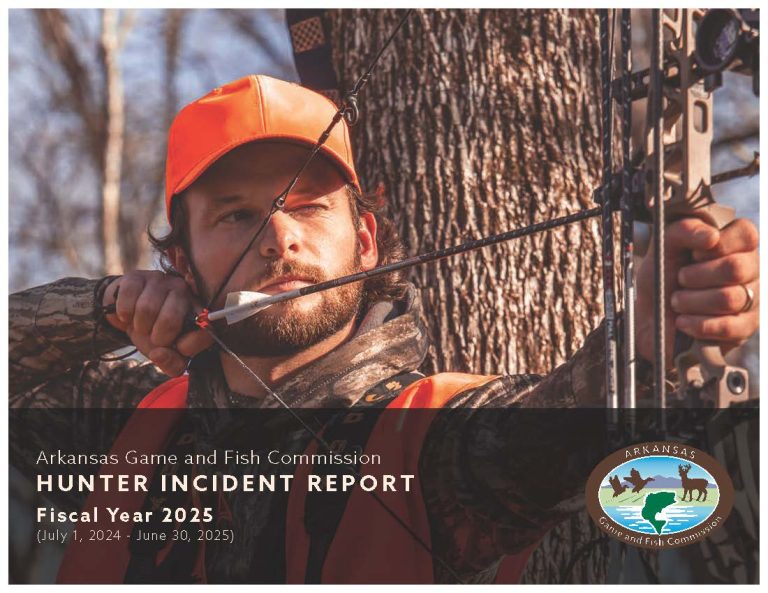 Hunting incident report reinforces continued need for treestand safety
