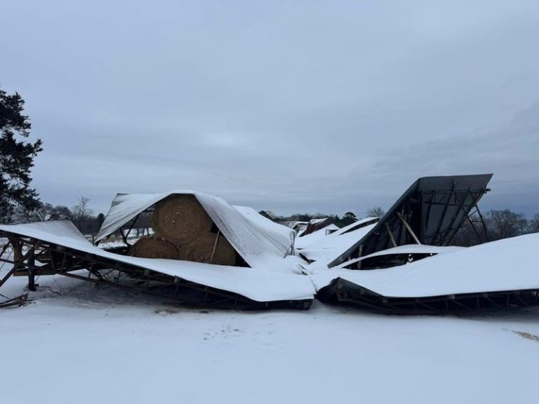 Arkansas poultry industry takes estimated $200 million hit after winter storms