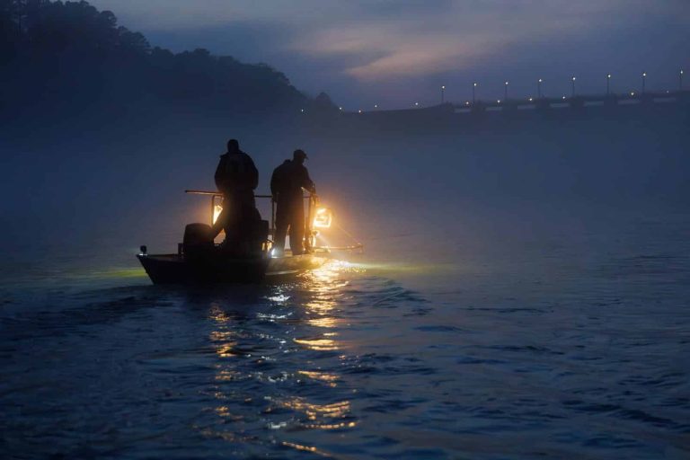 Arkansas hatcheries help walleye angling action