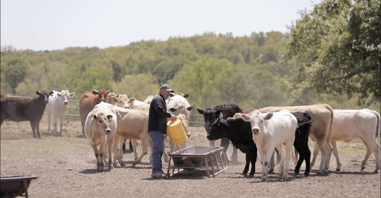 Logan County Family Named Western District Farm Family of the Year